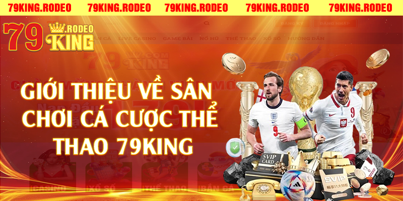 Thể Thao 79King Là Gì? Tổng Quan Về Nền Tảng Cá Cược Thể Thao